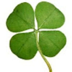 Meet your Posher, Savannah